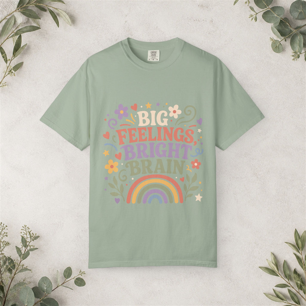 Big Feelings Bright Brain