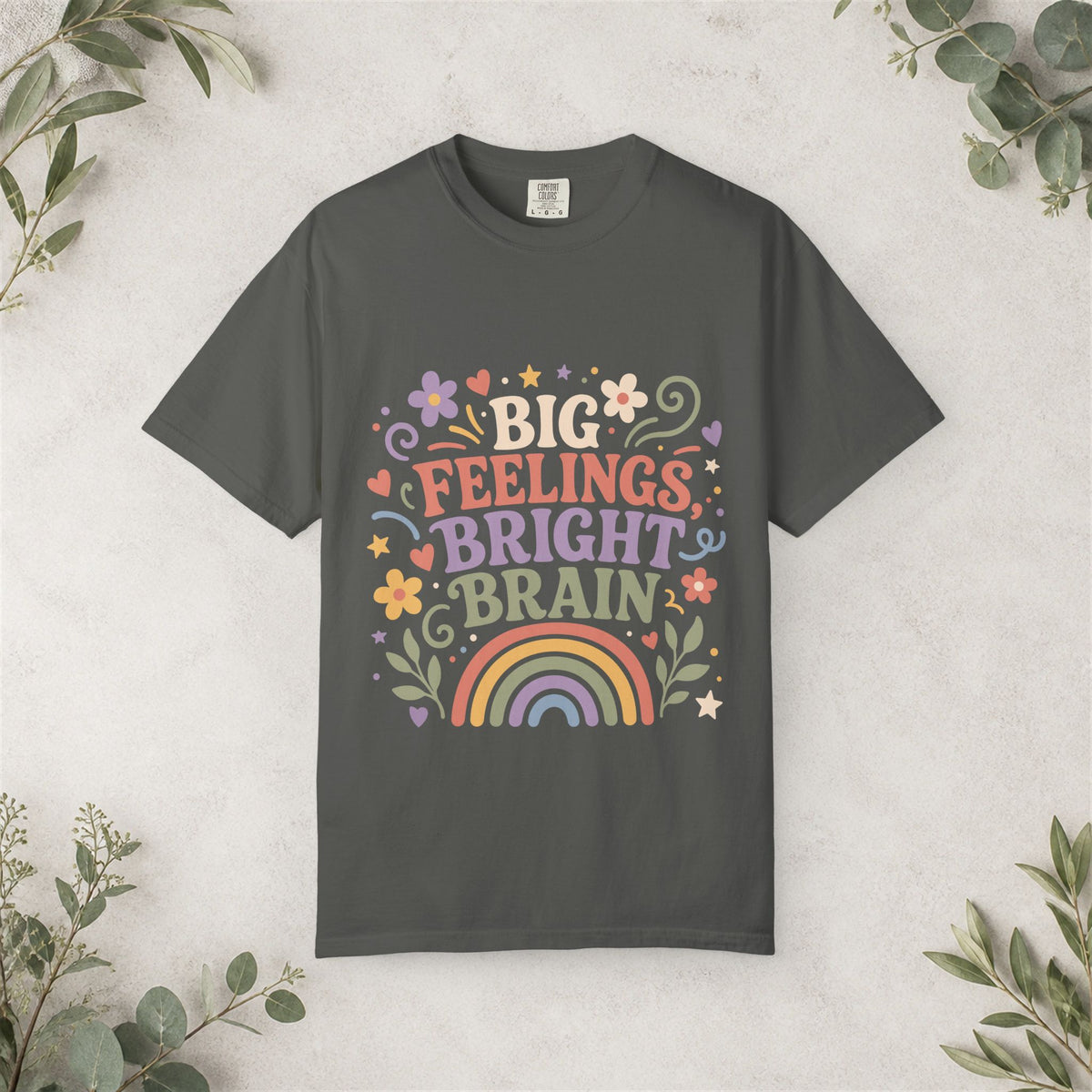 Big Feelings Bright Brain